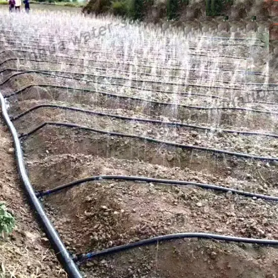 Manguera de agua para jardín Manguera de agua rociada personalizada de 5 orificios